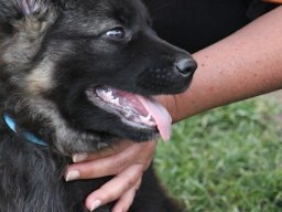img_8595