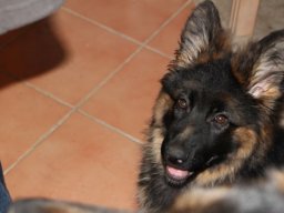 vreni_02